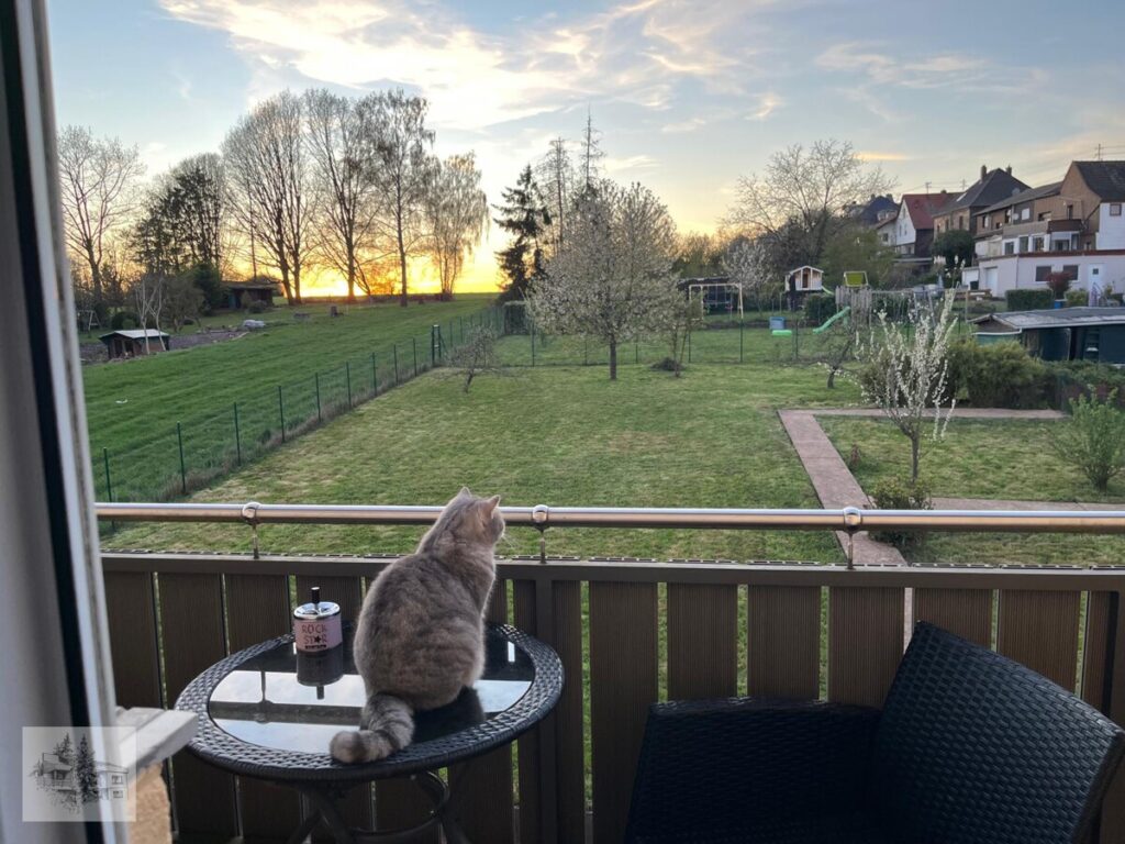 OG Ausblick Garten